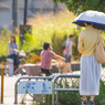 9月1日（木）秋めく夏の日・・