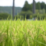 ツァイスと行く！ていやぁの夏休み３０