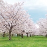 DSCF0153