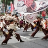 日本ど真ん中祭り③kaguraさん