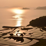 海と棚田を照らす夕日