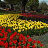 DSCF0222