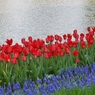 DSCF0390