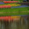 DSCF0397
