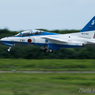 Blue Impulse #5