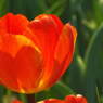 DSCF0274