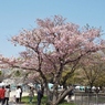 DSCF0043