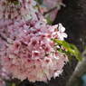 DSCF0063
