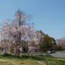 DSCF0105