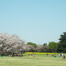 DSCF0520