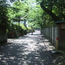 鎌倉の小路