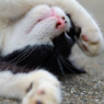 あうううう