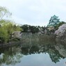 名古屋城　春