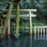鹿島神宮御手洗池
