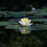 燦々
