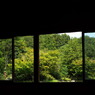 日本庭園2