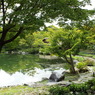 日本庭3