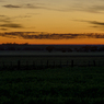 Farm 15