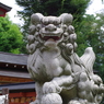 狛犬_鷺宮八幡神社
