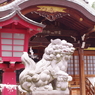 狛犬_鷺宮八幡神社