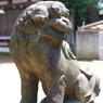狛犬_諏訪神社(高田馬場)