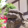 狛犬_成子天神