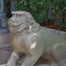 狛犬_亀岡八幡宮