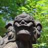 狛犬_亀岡八幡宮