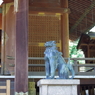 狛犬_五條天神社