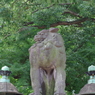 狛犬_上野東照宮