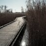 Kasumigaura_0036