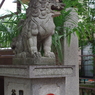 狛犬_須賀神社(四谷)