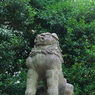 狛犬_赤坂氷川神社