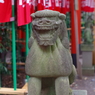 狛犬_大宮八幡宮(杉並)