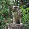 狛犬_大宮八幡宮(杉並)