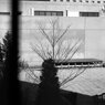 IMG_2265