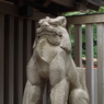 狛犬_乃木神社