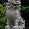 狛犬_氷川神社(中野)