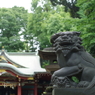 狛犬_氷川神社(中野)