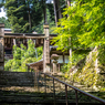 新緑の山門（長命寺より）