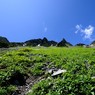 天空の草原