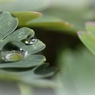 水晶玉のように