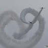 ’16航空祭 in KOMATU（39/43）