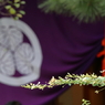 萩咲く寺で