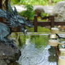 手水舎_龍_愛宕神社