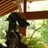 手水舎_龍_馬橋稲荷神社