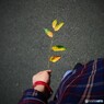 秋つかまえた
