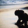 sea sound
