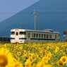 指宿枕崎線