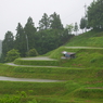 雨に佇む棚田